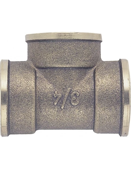 Te egal femel.a visser -d1'1/2