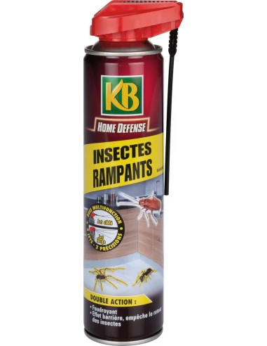 Traitement aérosol Insectes rampants 400ml - KB