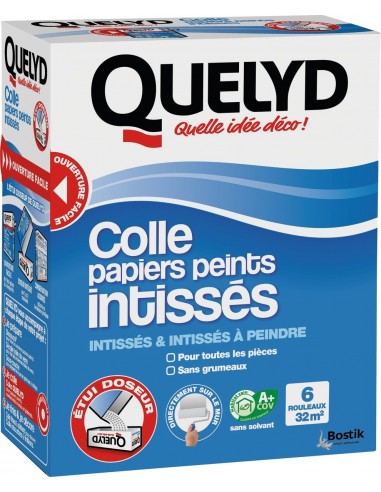 QUELYD Colle pour intissé_300g - QUELYD