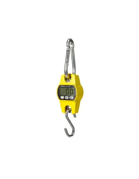 balance à grue numérique - charges lourdes - 300 kg / 300 g