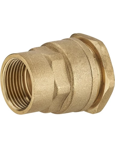 raccord droit polyéth femelle laiton ø25 - f 3/4 lien 1 pièce