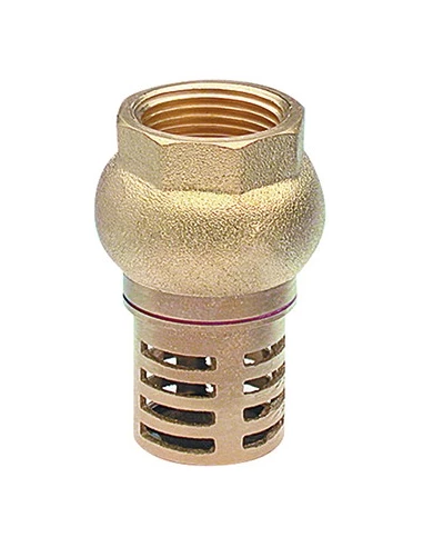 crépine a clapet f 1'' lien 1 pièce