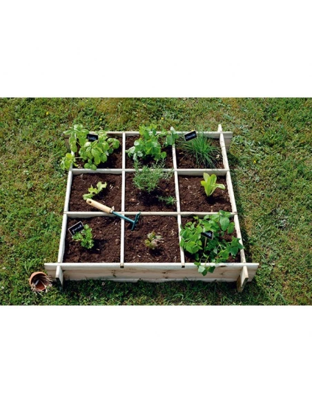 carre potager cardon100 cl3
