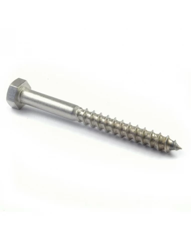 Tirefond Zi 6 X 100 par 10