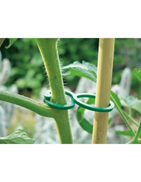 tomato clips 25 pièces - NORTENE