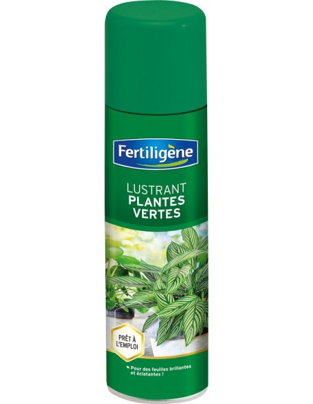 Lustrant plantes vertes 200ml - FERTILIGENE