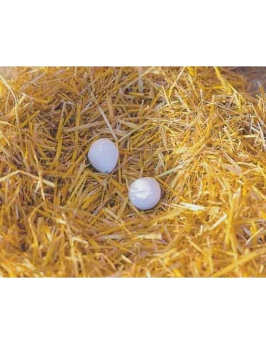 Oeuf en bois - lot de 2 pièces