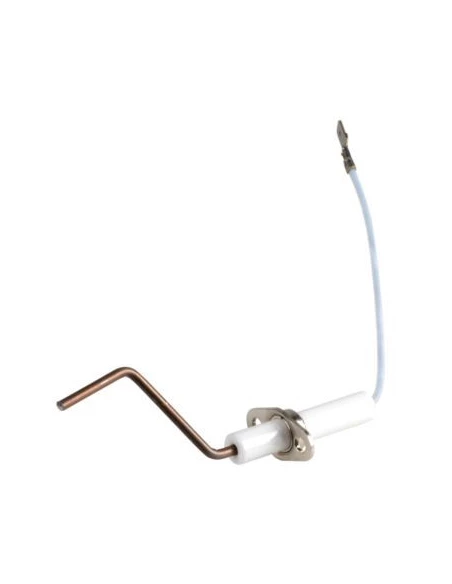 electrode ionis sgb srn936972