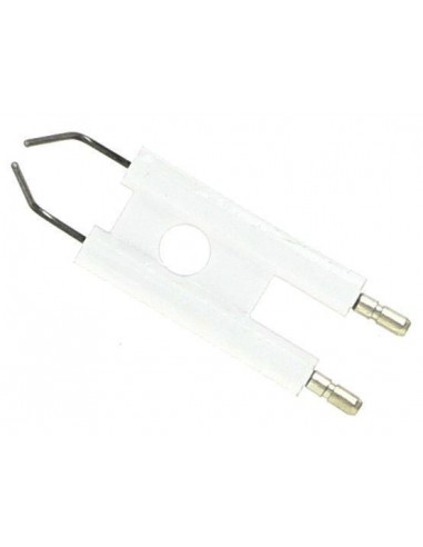 electrode s20018545