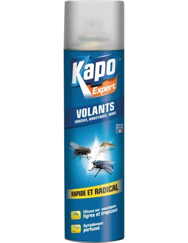 aerosol insectes volants 400ml