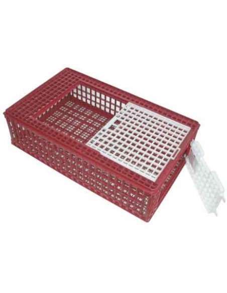 Cage Transport PVC Volaille Robuste, hygiénique, grande capacité - Générique