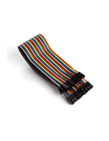 câble de liaison 40 broches 30 cm femelle vers femelle (câble plat)