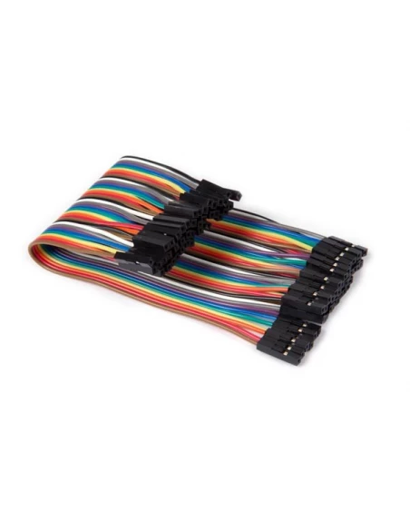 câble de liaison 40 broches 15 cm femelle vers femelle (câble plat)