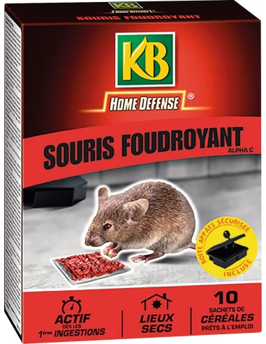 souris foudroyant 10 x 10 g