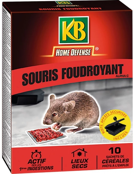 souris foudroyant 10 x 10 g