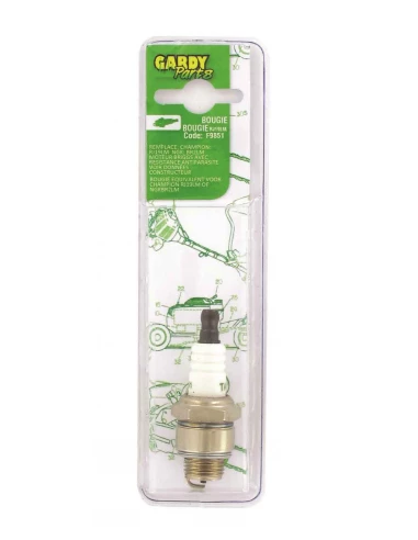 bougie briggs - equivalence champion rj19lm