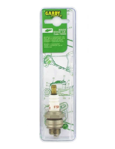 bougie équivalence ngk bm6a