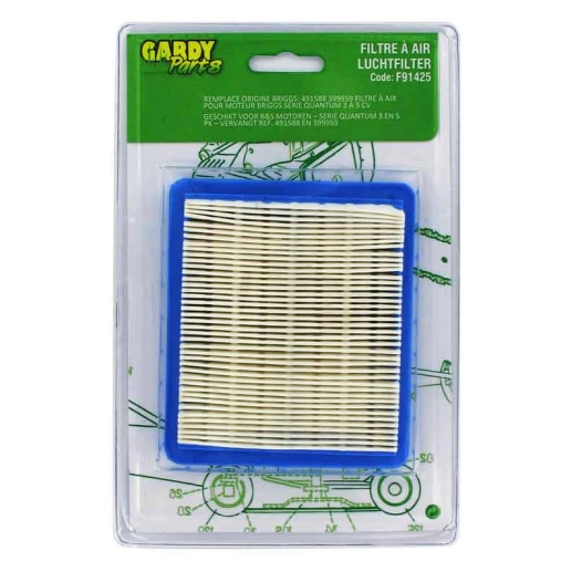 Filtre briggs pour moteur quantum (remplace : 491588)
