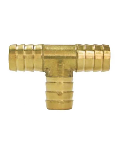 te cannelee d 19 + collier laiton