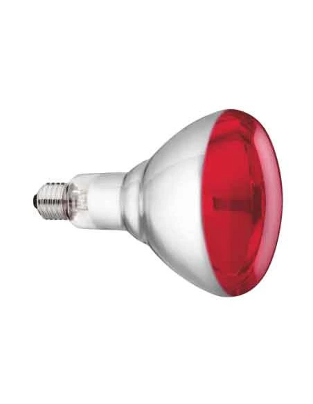 Lampe infrarouge verre trempé philips 150w - rouge - KERBL