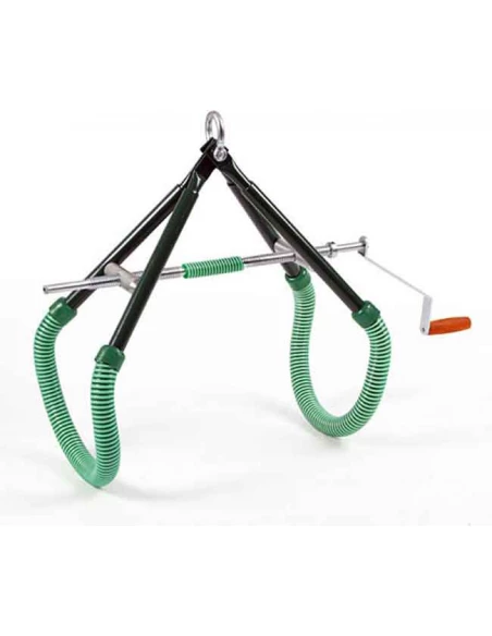 leve vache races laitières