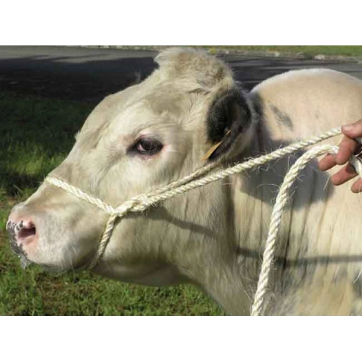 longe mixte pp sisal 4m d16mm blanc/rouge