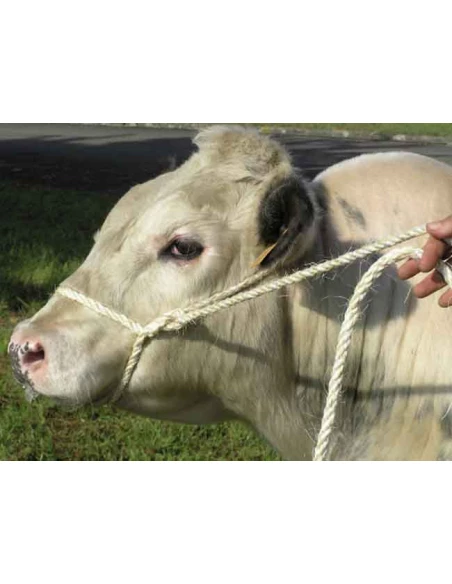 longe mixte pp sisal 4m d16mm blanc/rouge