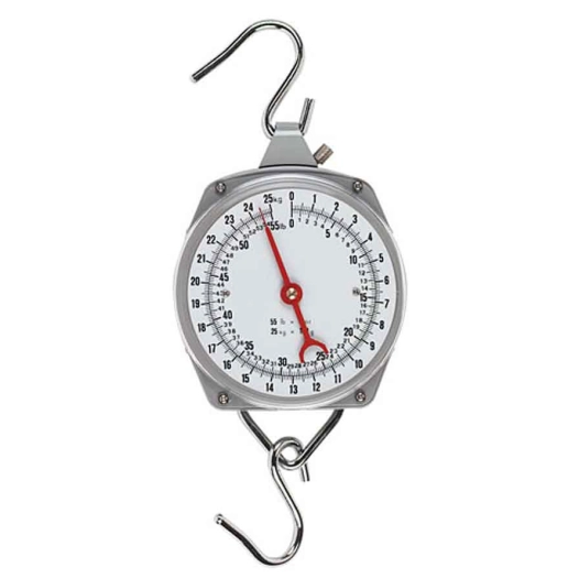 peson 25kg dynamométrique