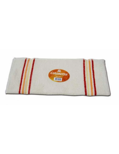 cotonette express 52x45cm 330grs/m2 - sachet de 10 cotonettes