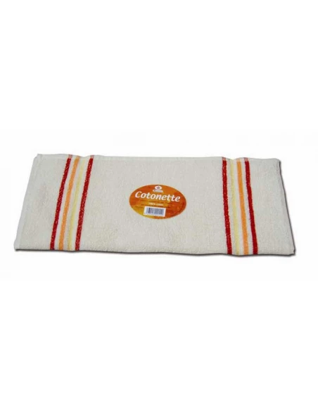 cotonette express 52x45cm 330grs/m2 - sachet de 10 cotonettes