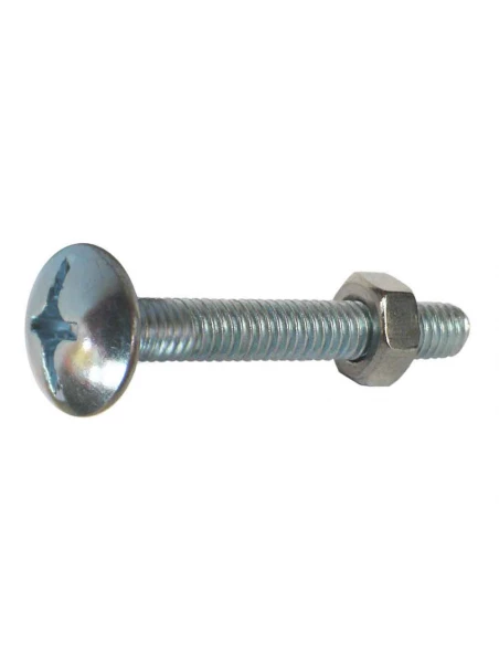 boulon poelier zg cp 50 8x 20