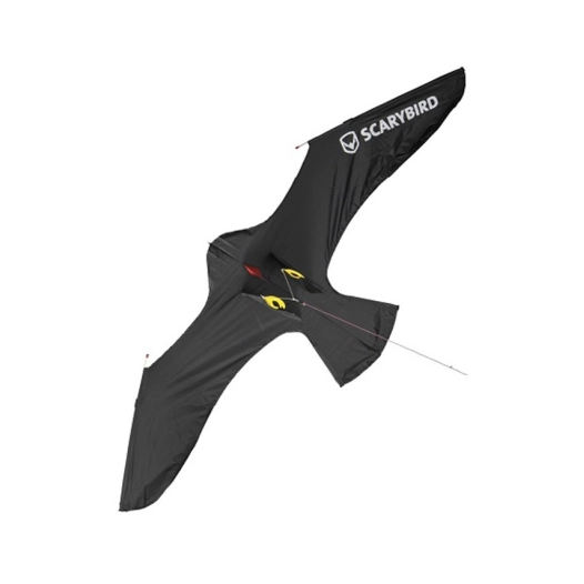 cerf volant scarybird