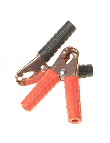 Pince De Batterie 2 Pcs 50a R/N