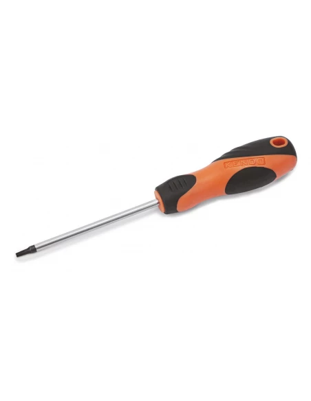 Tournevis Torx T10x100mm