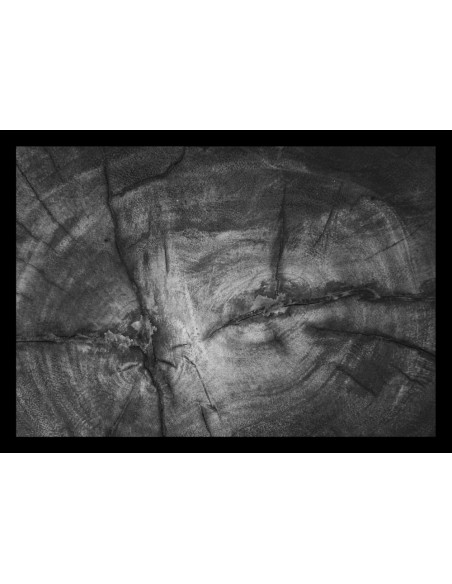 Tapis Tree Trunk anthracite 50x70cm - VICA