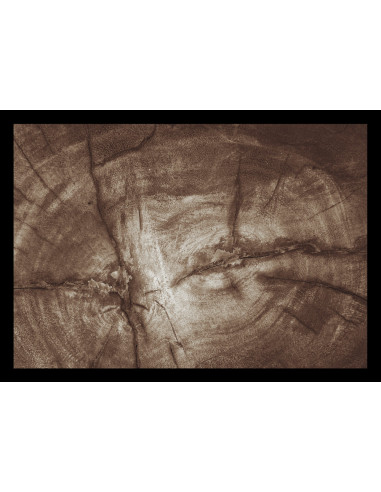 Tapis Tree Trunk beige 50x70cm - VICA