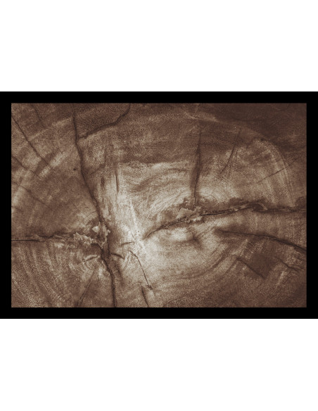 Tapis Tree Trunk beige 50x70cm - VICA