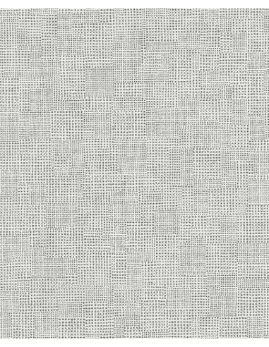 6670 - Vinyle grainé sur intissé - ERISMANN ET CIE