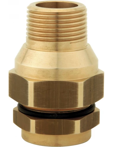 Racc plt male co dn 20 g 1'