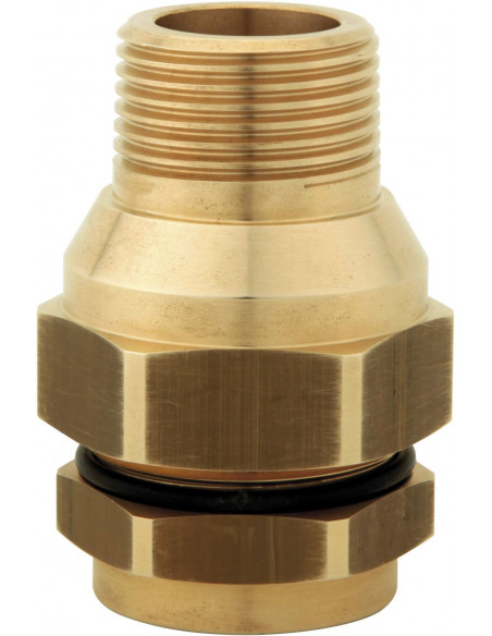 Racc plt male co dn 20 g 1'