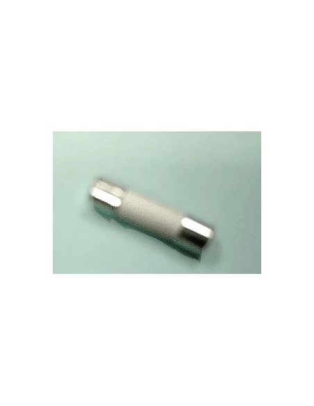 Fusible temporise 6,3a95340249