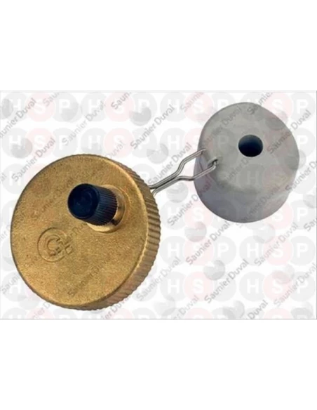 Purgeur de pompe 05167500