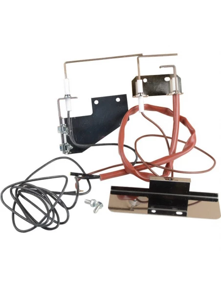 Electrodes allum+ionisa 060005