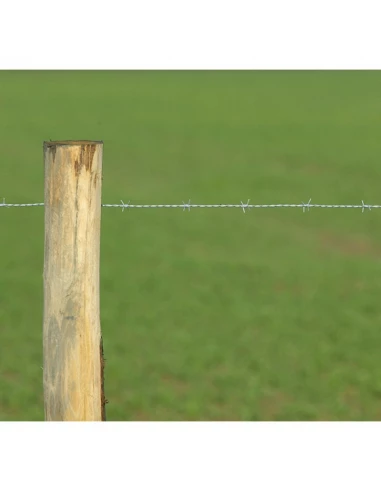 grillage ronce protect basic galv 200ml