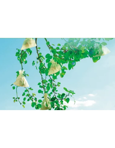 fruitsac 20x30cm /50