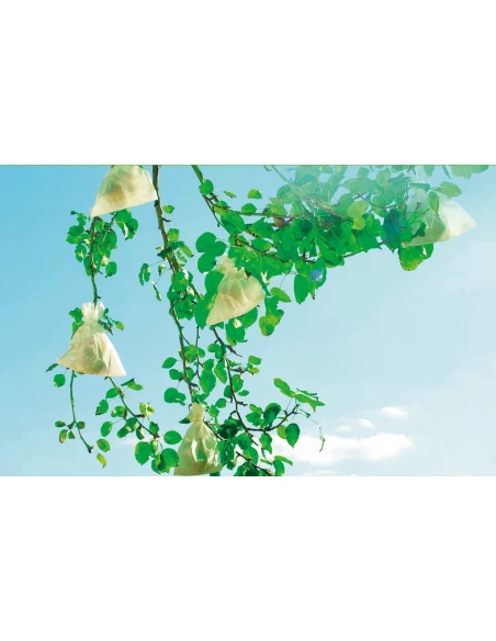 fruitsac 20x30cm /50