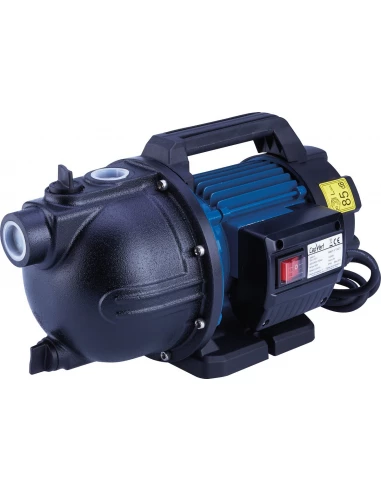 pompe surface mono sw120 watts