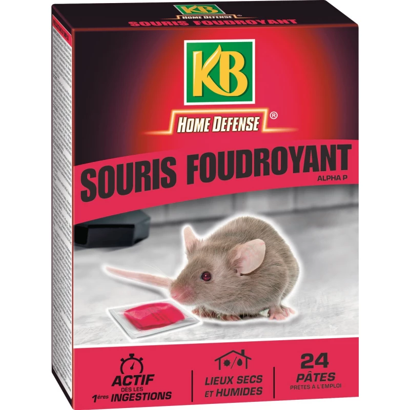 souris foudroyant pates 240g