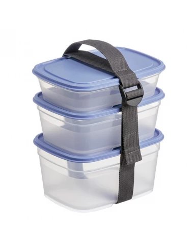 boites alimentaires carrees (lot 3) myrtille+strap