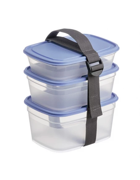boites alimentaires carrees (lot 3) myrtille+strap